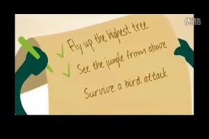 励志：苍蝇的一分钟生命 中文字幕 — 音乐短片